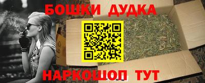 МДПВ Партизанск