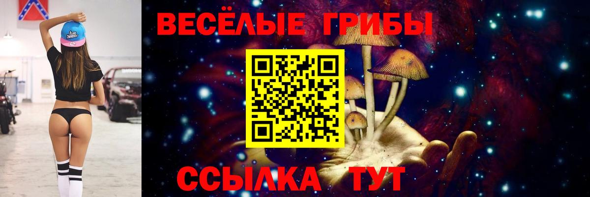 Рассказово  Галлюциногенные грибы Psilocybine cubensis  Вход с VPN  Псилоцибиновые грибы Psilocybine cubensis 